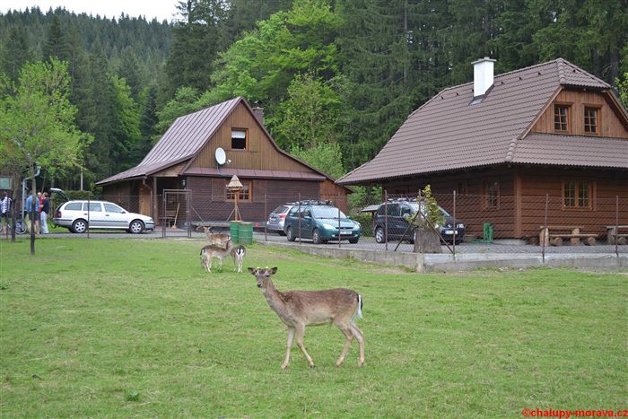 Pohled na chalupy u dančí obory s jeleny na louce
