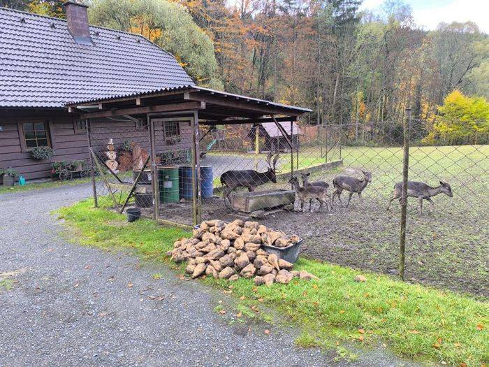 Daňci u chalupy