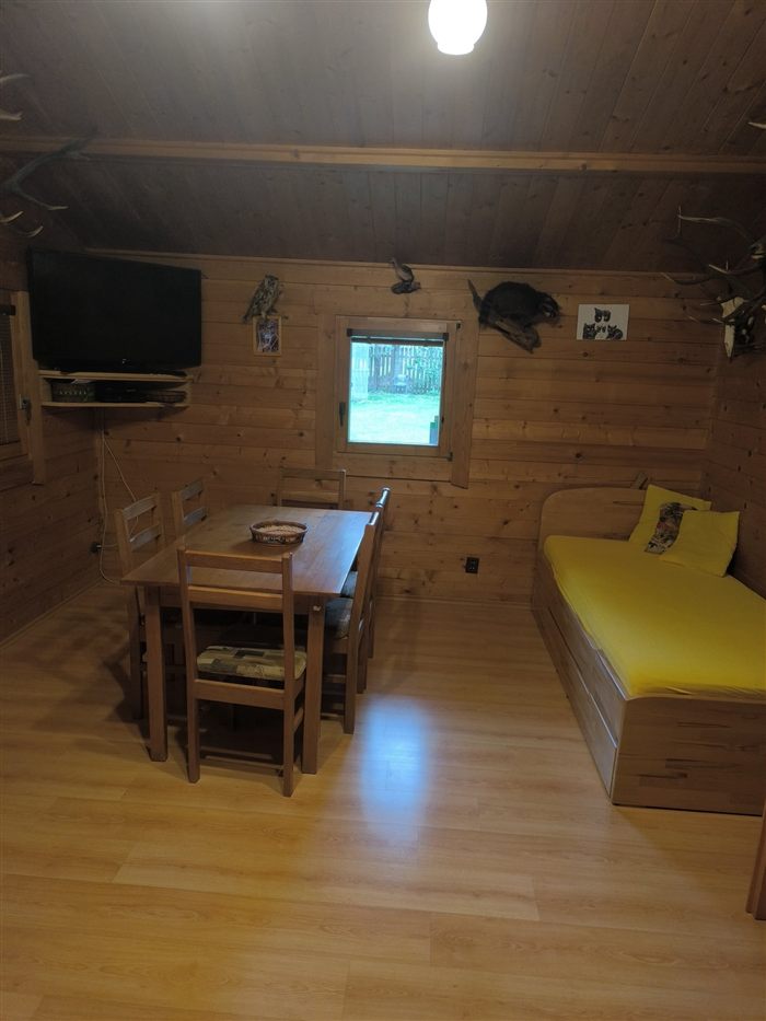 Obývací místnost s rozkládací pohovkou